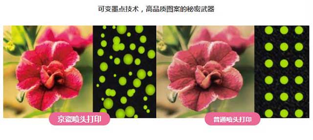  91视频播放黄色片數碼